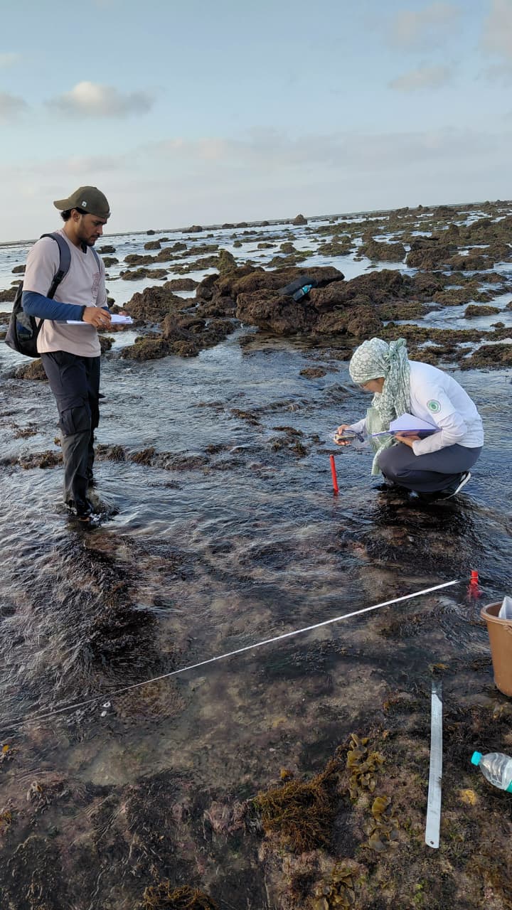 GFRF - Coral Health & Resilience at MNP 34
